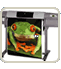 �Ɩ����e��
